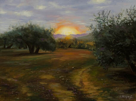 Painting of an field of olive trees at sunset in Andalusia.