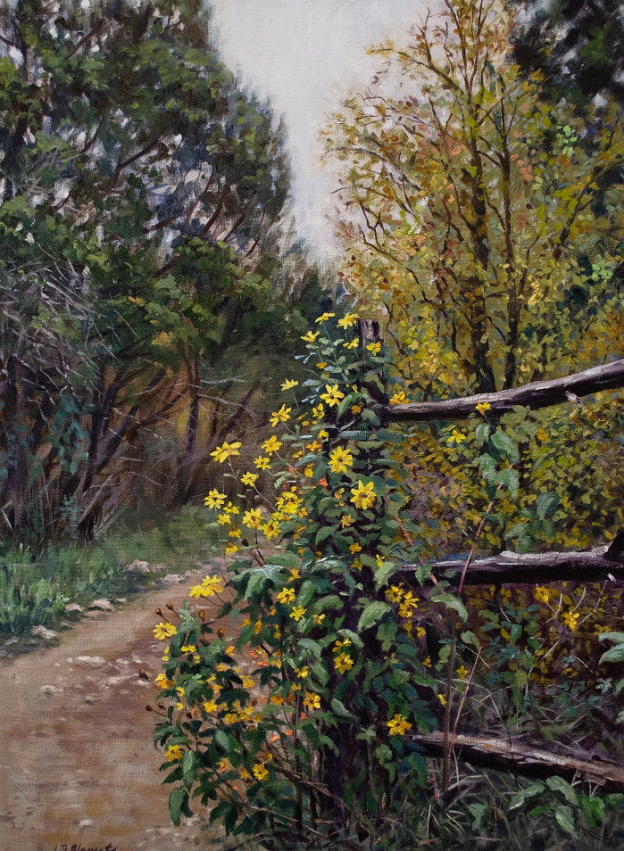 Oil, painting, flowers, sunflowers, wild, Texas, Texan, Austin, plants, landscape, trail, hiking, realism, nature, trees, path, fence, 